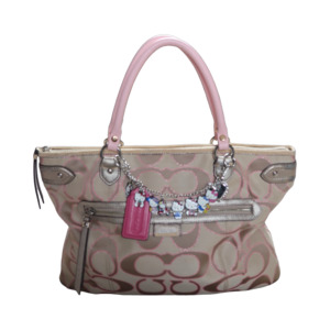 The Bag Wardrobe: COACH DAISY OUTLINE SIGNATURE METALLIC EMMA TOTE - L