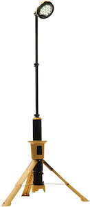 Lights: 9440 Remote Area Light