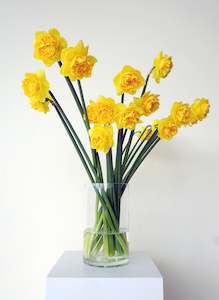 Vases: Glass cylinder vase