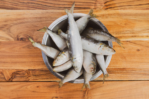 Products: 1kg Premium Pilchards Omega-3 Rich Treats for Cats and Dogs