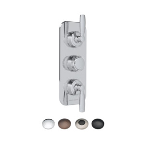 ONE HUNDRED THERMOSTATIC SHOWER MIXER 2 OUTLET HANDLE