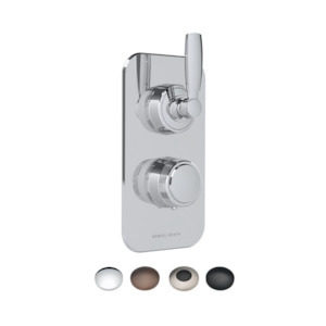ONE HUNDRED THERMOSTATIC SHOWER MIXER 1 OUTLET HANDLE