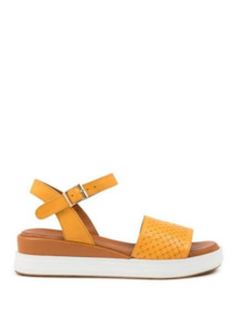 Diana Ferrari: EROLS