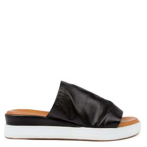 Diana Ferrari: EHBRIT