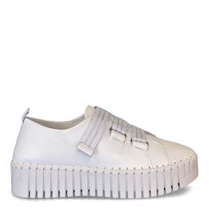 Winter Collection 1: BRIGHTERY