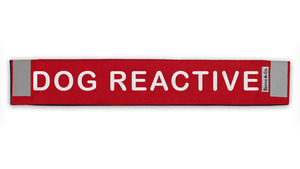 Products: Dog Reactive Lead Cover - Rocco & Co