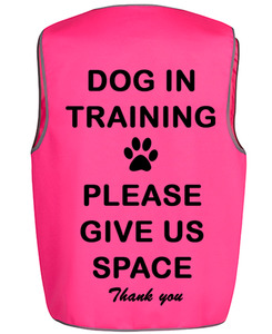 Products: Visual Aid High Vis Vest - Rocco & Co