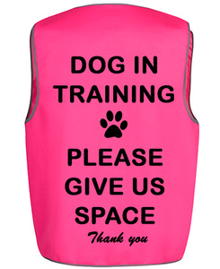 Products: Visual Aid High Vis Vest - Rocco & Co