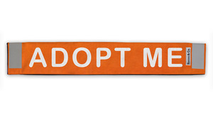 Products: Mini Adopt Me Lead Cover - Rocco & Co