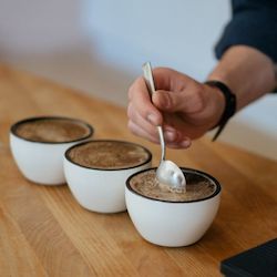 Espresso Equipment: RHINO Cupping Set