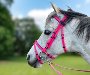 Products: Pony Bridle
