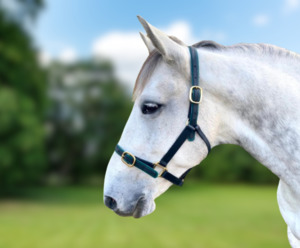 Products: Full Halter