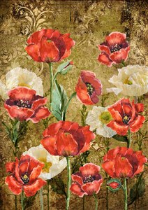 Decoupage Queen: Decoupage Queen A3 Rice Paper - Poppies