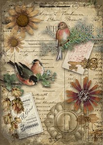 Decoupage Queen: Decoupage Queen A3 and A2 Rice Paper - Autumn Birds