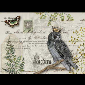 Decoupage Queen: Decoupage Queen A3 Rice Paper - Owl Botanicals