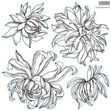 Sale: IOD Decor Stamp 30.5 x 30.5cm - Chrysanthemums (2 Sheets and masks) *RETIRED*