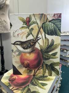 Jotter Pads 250 Pages: Jotter Pad - Birds and Fruit