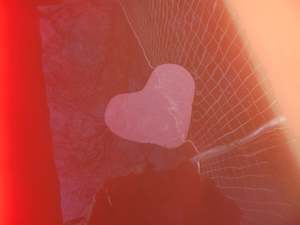 Pavlovs Puss: We should all play naked - Pavlovs Puss music download.