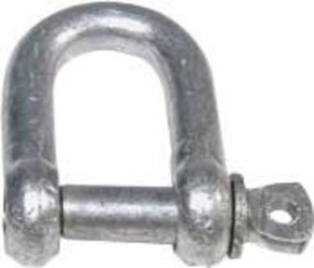 8mm D Shackle