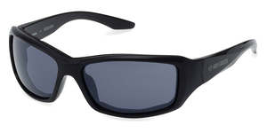Eyewear: Harley-Davidson Sequoia Sunglasse