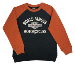 Harley-Davidson Boys World Famous Pullover