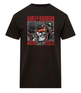 Mens Clearance Sales: Harley-Davidson Men's Archive Dealer Tee
