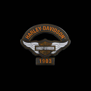 Pins Patches: Harley-Davidson 1903 Winged Pin