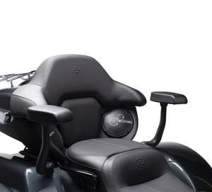 Grand Tour-Pak Passenger Armrests – Trike