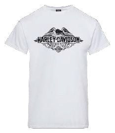 Tees Shirts: Harley-Davidson Ascend Men's Dealer Tee