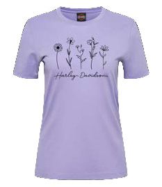 Harley-Davidson Sketch Ladies Dealer Tee
