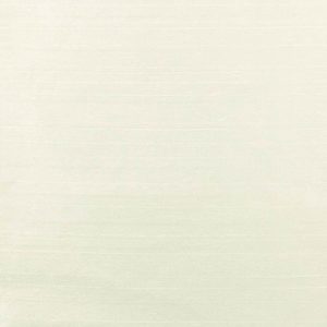 Luxe Champagne Cushions NZ - Exquisite Cushions Online