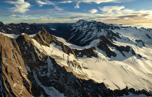 Graham Saddle - Romer Gallery