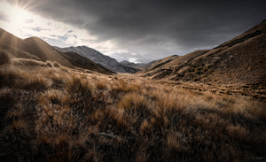 Ōmakō - Romer Gallery