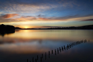 Products: Kuramea - Romer Gallery