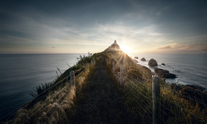 Products: Nugget Point - Romer Gallery