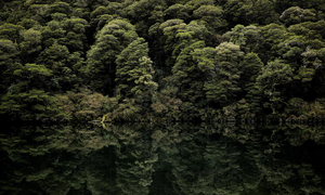 Lake Lochie - Romer Gallery