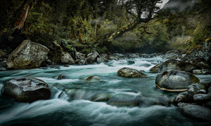 Gulliver River 02 - Romer Gallery