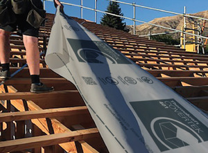 Products: Covertek 401