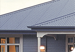 Products: Customline Spouting