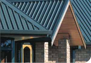 Products: Plumbline Spouting