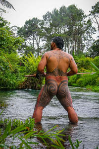 All Artists: Te Rangihau Toi