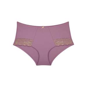 Radiate Lace Full Brief - Lavender Spritz
