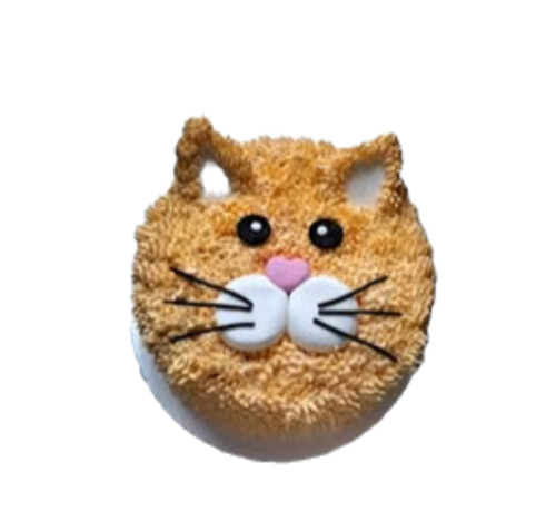 Cat Cake Rosebowl Cafe & Bake