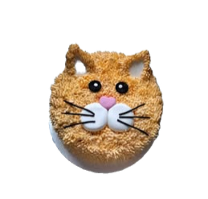 Products: Cat Cake Rosebowl Cafe & Bake