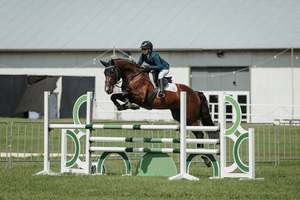 Stallions At Stud: Burley RF