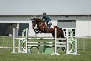 Stallions At Stud: Burley RF