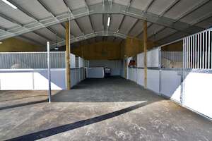 Rehabilititation Agistment