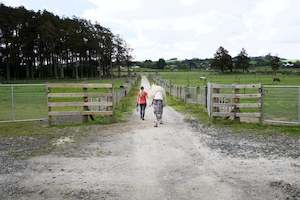 Holiday Care Agistment