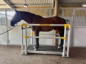 Treadmill Vitafloor: Vitafloor