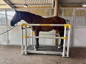 Treadmill Vitafloor: Vitafloor